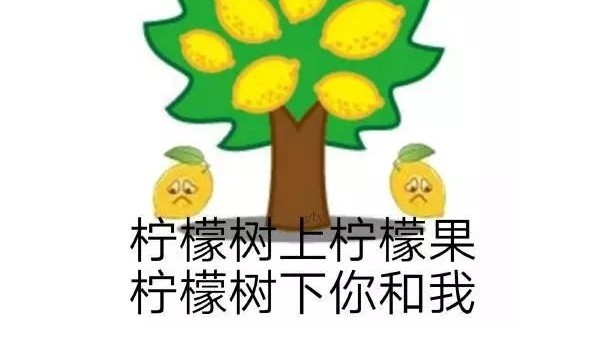2019年（nián）熱門網絡詞（cí）你知道多少（shǎo）？
